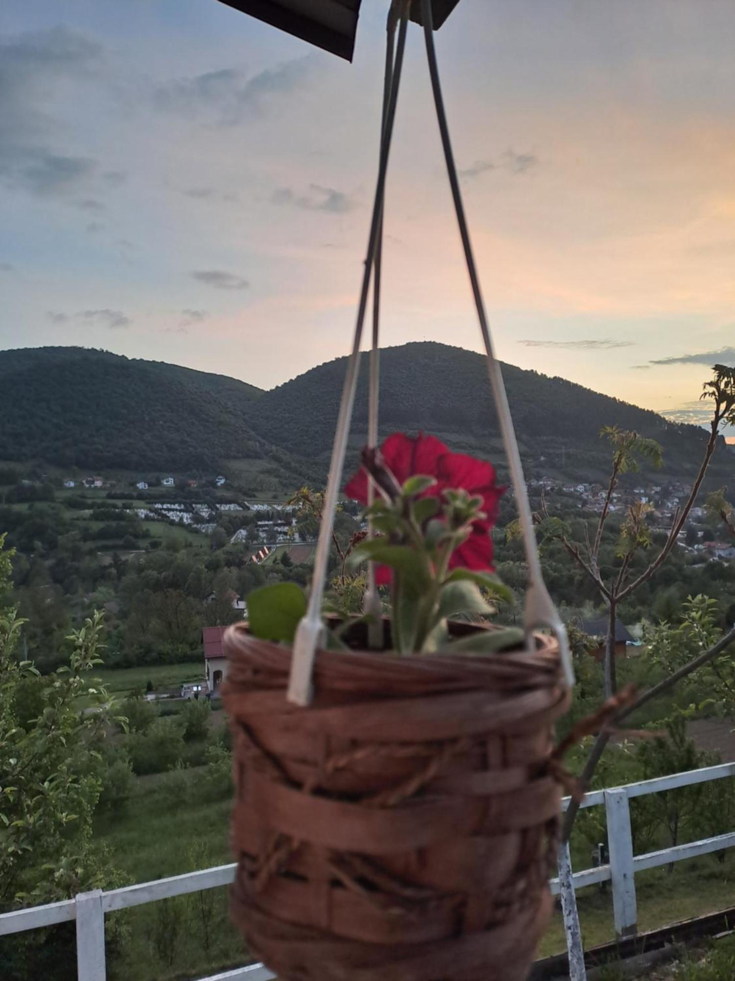 Natural House Visoko Rom bilde